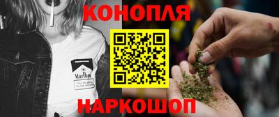 стаф Кулебаки
