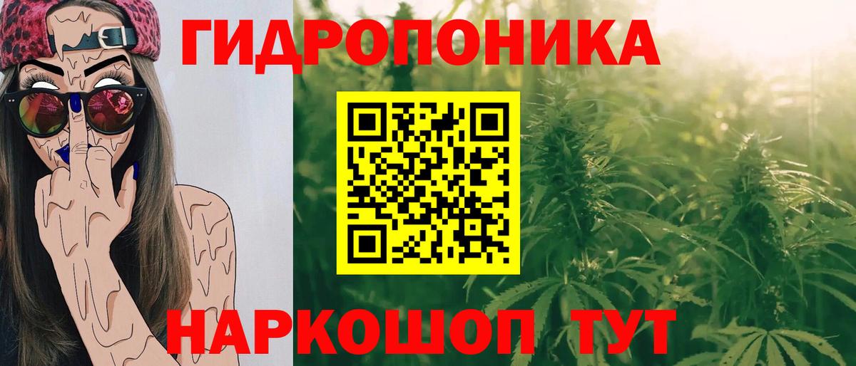 Бошки Шишки семена Карталы